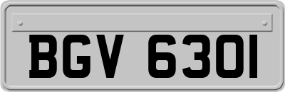 BGV6301