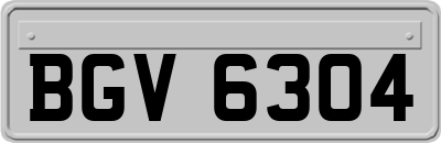 BGV6304