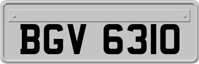 BGV6310