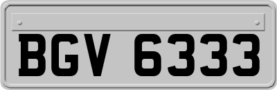 BGV6333