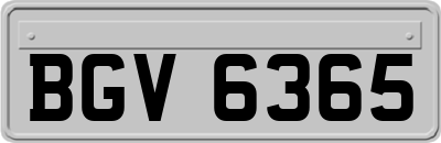 BGV6365