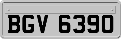 BGV6390