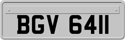 BGV6411