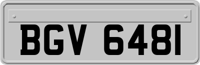 BGV6481