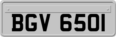 BGV6501
