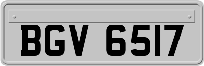 BGV6517