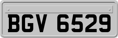BGV6529
