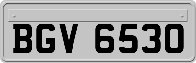 BGV6530