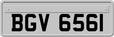 BGV6561