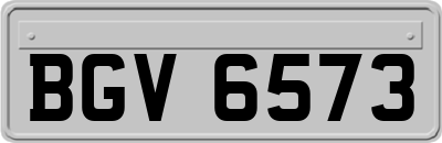 BGV6573