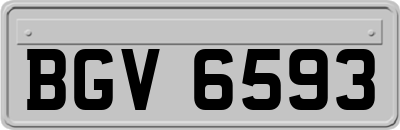 BGV6593