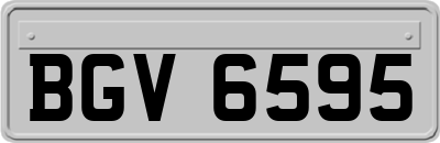 BGV6595