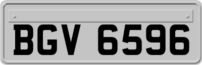 BGV6596