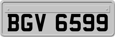 BGV6599