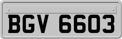 BGV6603