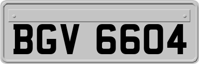 BGV6604