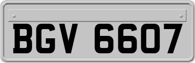 BGV6607
