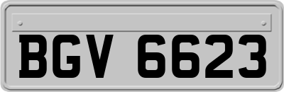 BGV6623