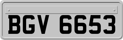 BGV6653