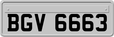 BGV6663