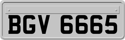 BGV6665