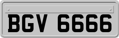 BGV6666