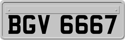 BGV6667