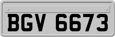 BGV6673