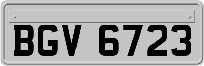 BGV6723