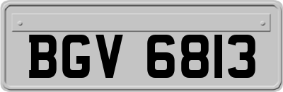 BGV6813