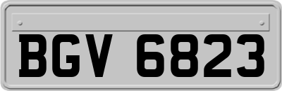 BGV6823