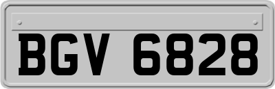 BGV6828