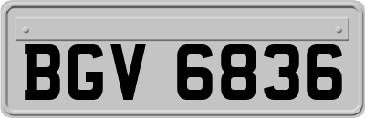 BGV6836
