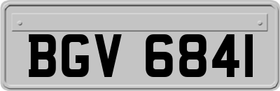 BGV6841