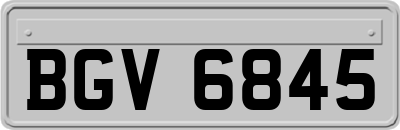 BGV6845