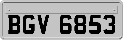 BGV6853