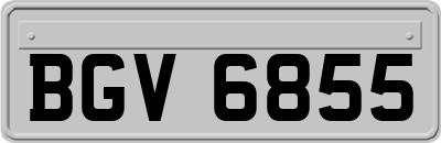 BGV6855