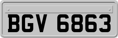 BGV6863