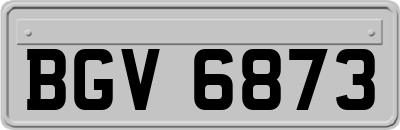 BGV6873