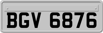 BGV6876