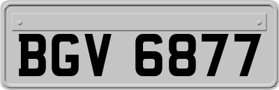 BGV6877