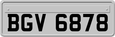 BGV6878