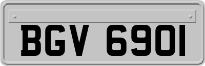 BGV6901