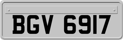 BGV6917
