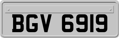 BGV6919