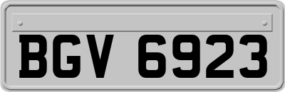 BGV6923