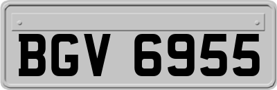 BGV6955