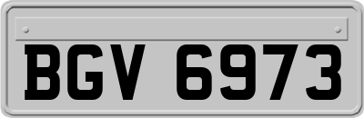 BGV6973