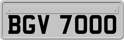 BGV7000