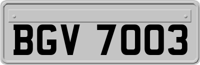 BGV7003